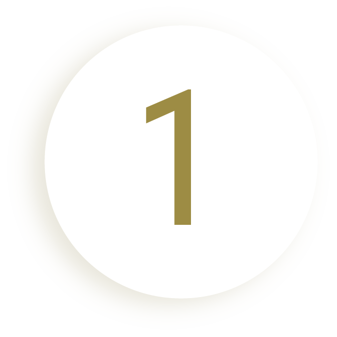 Icon one